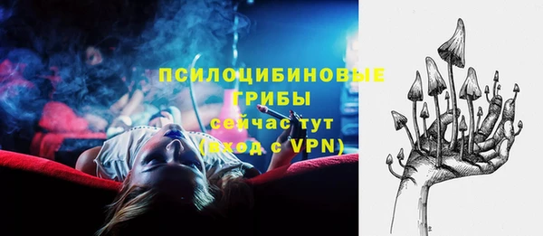 кокс Михайлов
