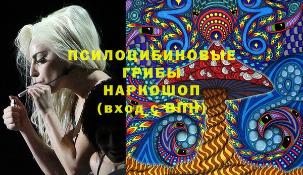 гидропоника Медногорск