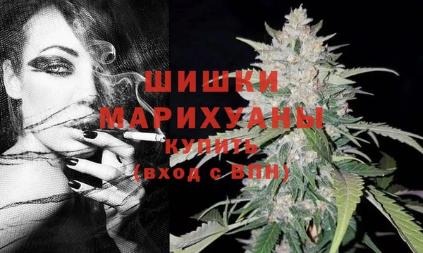 МДПВ Медвежьегорск