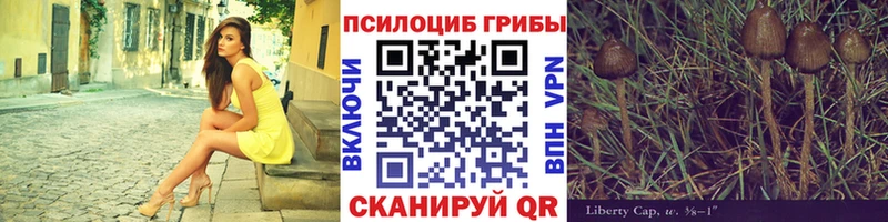 закладки Уржум Галлюциногенные грибы GOLDEN TEACHER
